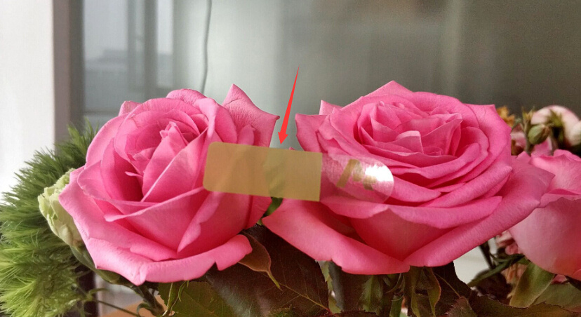 QQ截图20180530112932 QQ截图20180530112932