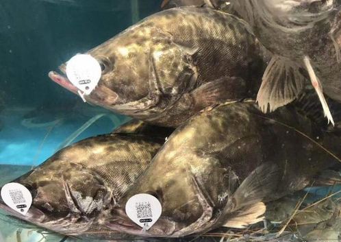 1717639571315310.png 图片.png